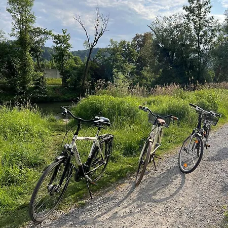 Rebgarten Höchst